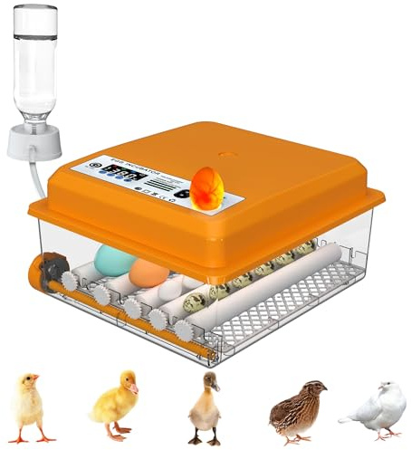 Auveach Automatic Egg Incubator Incubator for 16 Hen Eggs Automatic Temperature Control Automatic Egg Turning Double Electric Design (Orange)