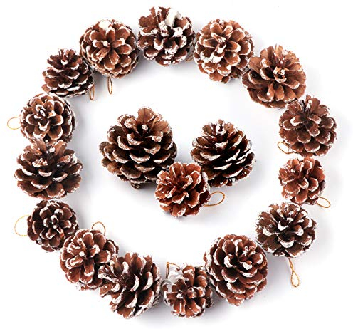 30 x Pommes de pin pour Déco, ilauke Pommes de pin Dentelle Blanche, 4 à 6 cm Cônes de Pin Naturel Décoration, Décoration pour Sapin De Noël, Guirlandes, Sapin de Noël Christmas Decor