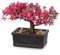 Künstliche Bonsai im Topf, Künstliche Bonsai Baum, Bonsai Kunstpflanze Wie Echt, Japanische Deko Kunstbaum Bonsai Podocarpus, Künstliche Zimmerpflanzen für Baddeko Desktop Büro Fensterbank, Klein