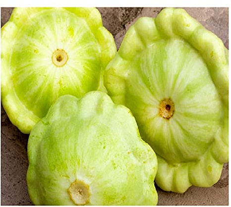 20 Bennings Green Tint Summer Squash Seeds | Non-GMO | Fresh Garden Seeds | Instant Latch