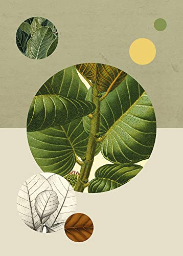 Komar Struttura verde - Dimensioni: 50 x 70 cm Stampa artistica da parete (senza cornice) PURE Boutique