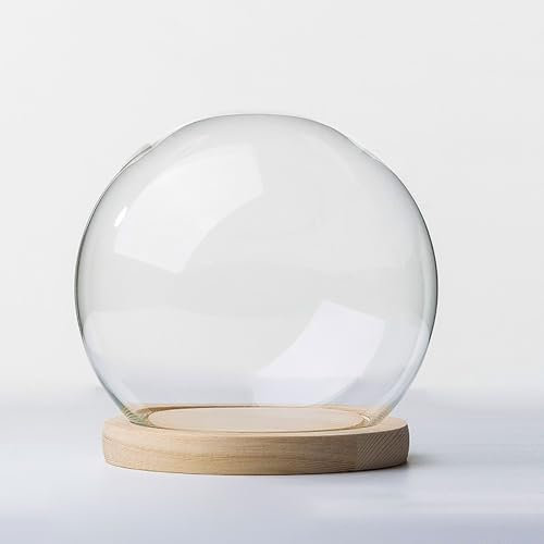 VDCVADKYE Cloche d'exposition en Verre, Présentoir en Forme de Cloche en Verre avec Base en Bois Massif for Exposer des Plantes, des Ornements et des Figurines(DIA 15cm)