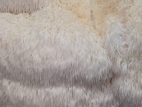 Lions Mane Mushroom Spawn/Seed, 60g Heat Sealed Bag (Hericum erinaces) Foragers Table