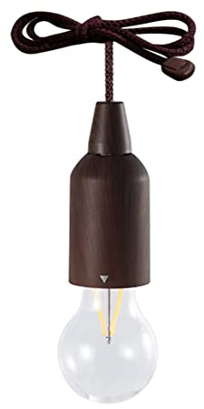 BSTCAR LED Glühbirne Batterie, Pull Light Glühbirne Batteriebetrieben, Tragbare IP44 Wasserdichte Retro Zugschnurbirnen Mobile Dekoration Nachtlicht Innen und Außenbereich