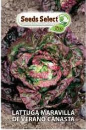 Semi di Lattuga Maravilla de Verano Canasta, Semi di Insalata in bustina