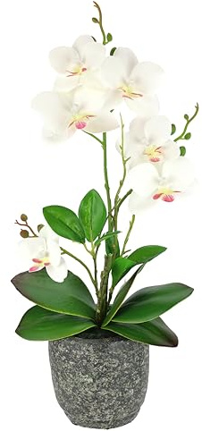 Flair Flower Orquídea Artificial con Hojas y raíces de Aire en Maceta de cerámica, orquídea Artificial con Maceta, Planta Artificial, Flor de Seda Real al Tacto, Flores Artificiales, 090243CR