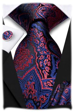 Hi-Tie Silk Paisley Ties for Men Necktie Pocket Square Cufflinks Set Foral Tie Sets Formal Business,Navy and Red Floral