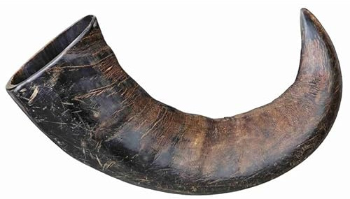 Superpet Buffalo Horn Natural Dog Treat, One-Ingredient Chew, Large 1 Pack