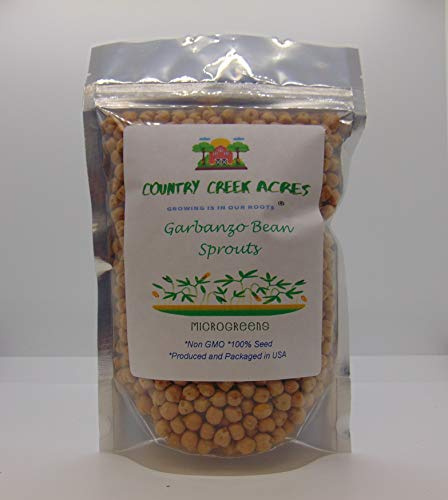 Garbanzo Bean Microgreen 8 OUNCES OF GARBANZO BEAN SEEDS FOR SPROUTING