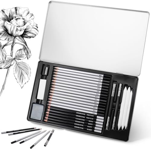 JIANTA 29-teiliges Professionelles Graphitstiften Zeichenstifte Set, Erwachsenen Art Graphitstifte Kohlestiften Knetradiergummi Set(4H-10B), Tragbare Metalletui für Erwachsene Zeichnung, Skizzierung
