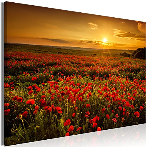 murando - Wandbilder XXL Mohnblumen Feld 90x60 cm 1 tlg - Wand Deko Leinwand Bilder Groß Wandbild Wohnzimmer Bild Schlafzimmer Kunstdruck Panoramabild - Landschaft Natur Blumen Wiese c-B-0639-b-a