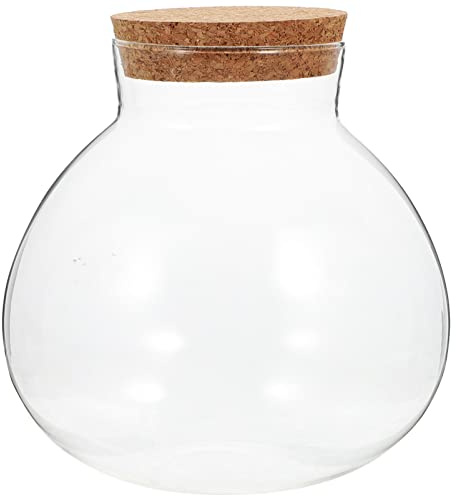 Toddmomy Glass Terrarium Plant Bottle Round Terrarium Jar Micro Landscape Bottle Ecological Fish Tank for Home Closed Ecosphere Ornament