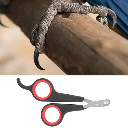Cortauñas para pájaros cortauñas para loros cortauñas para gatos con protector de seguridad herramientas de acero inoxidable para el cuidado de las uñas de perros gatos y animales pequeños herramienta
