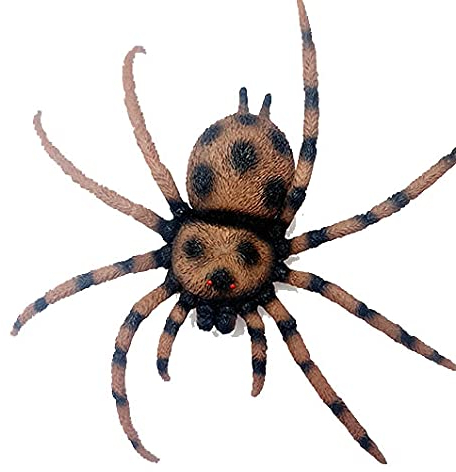 Spinne GROß Geocaching Versteck Geocache Spezial ausgefallen Wald Tier Tube