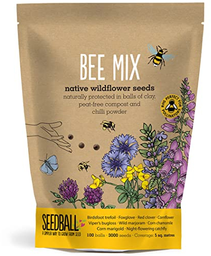 SEEDBALL Bee Mix Seed Bombs - 100 Seed Balls Per Pack | Bee Friendly British Wildflower Seeds - Clay Seed Bomb Mix of Poppy, Chamomile, Cornflower, Corn Marigold & Night–Flowering Catchfly