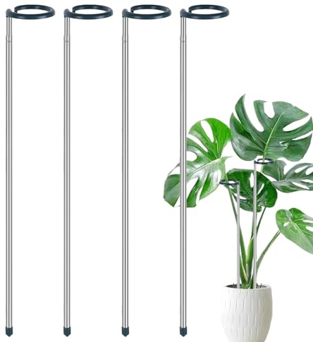 Sionhiuo Lot de 4 piquets de d'intérieur extensibles Monstera - Outils de jardin résistants aux intempéries - Réutilisables pour légumes, en pot, tomates, soucis, roses, tomates