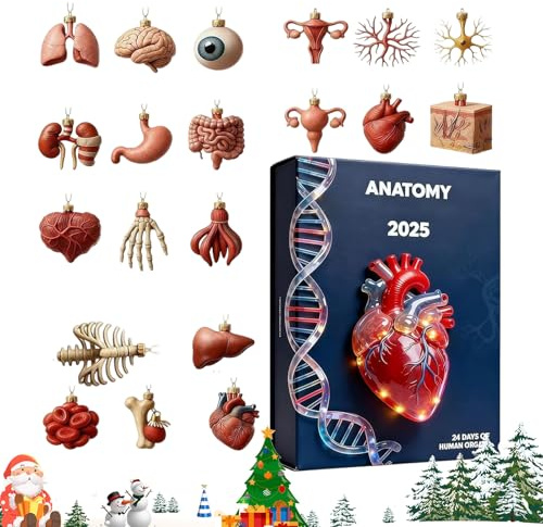 Colgante 2D para decoración del hogar, calendario de cuenta atrás de Navidad, colgantes, decoración de 24 días, miniaturas divertidas de anatomía humana, para médicos, enfermeras, profesores, estudian
