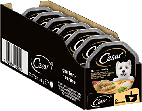 Cesar Hundefutter Nassfutter Gartenvielfalt Geflügel und Gemüse, 7 er Pack, (7 x 2 Schalen x 150 g)