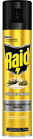 Raid Aérosol contre Guêpes/Frelons 300 ml