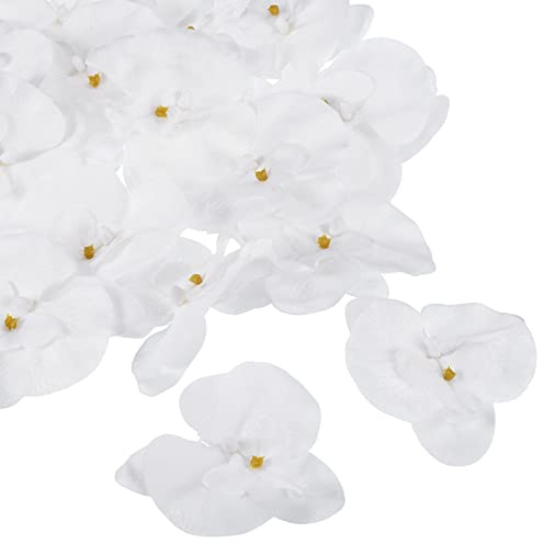 PATIKIL 3,5 Konstgjord Orkidé Blomma Huvud 20st Silk Phalaenopsis Falsk Fjäril Orkidé Huvud För Bröllop Blommig Bukett DIY Dekoration Hantverk Göra Ren Vit