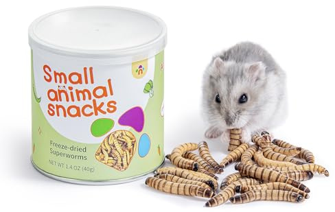 Niteangel Small Animal Snack & Treats - Small Critter Natural Treat for Dwarf Syrian Hamsters Gerbils Mice Sugar Glider Hedgehogs Chickens Birds (Freeze-Dried Worms- 1.4oz (40g))