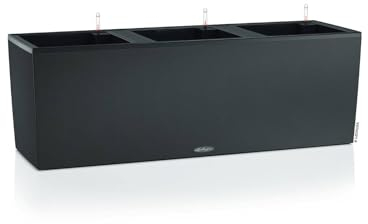 Lechuza Mini-Beet Trio Stone 30 graphitschwarz 15046