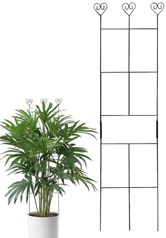 Calcing Plant Trellis - Marco de jardín al aire libre, soporte de plantas | Crecimiento natural de crecimiento, estructura de jardinería, revestimiento resistente al óxido, en