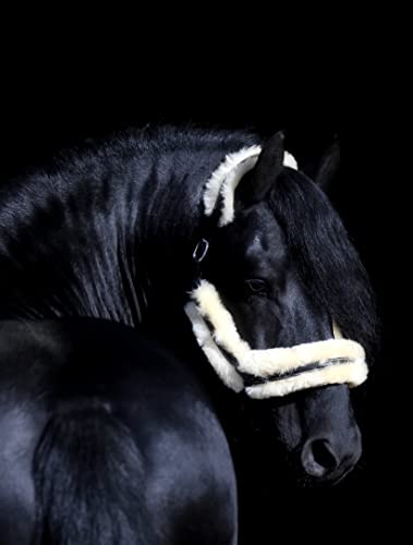 Tysons Breeches Danilo Lederhalfter Lammfell abnehmbar + Leder Patches Pony VB WB Leder Halfter ergonomisch (Vollblut)