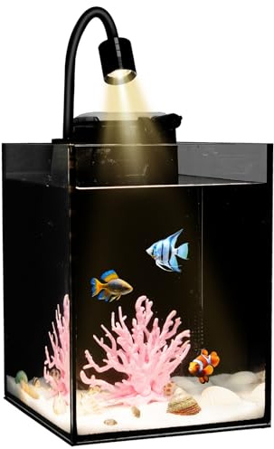 Desktop Aquarium Mini Tank Kit, 1.2 Gallon Rimless Cube with Filter, LED Spotlight, Black Background, Glass Construction, Pipette for Betta Fish, Guppies, Tetras