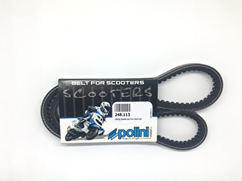 Cinghia Dentata Per Tutti i Modelli Di Ciclomotore Ciao a Variatore Con Correttori Normali Da 90 Alta Qualità' Marca Polini
