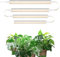 Barrina T5 Pflanzenlampe LED, Gelb, 29cm, Vollspektrum Sonnenlicht, Verkettbare Grow Lampe, LED-Wachstumslichtleiste mit Schalter, Stecker und Spiel, 4er