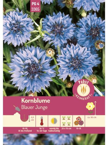 Pabst Keimkraft - Kornblume Blauer Junge Samen - 173365
