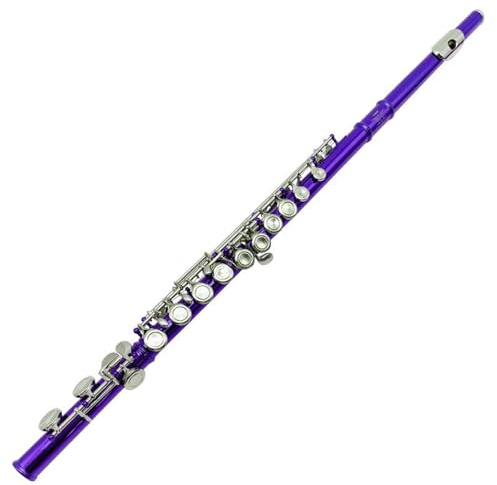 Pläterad flöjt 16 Håls C Durflöjt Med E Tangent Slutna Hål Ett Övningsinstrument För Nybörjare(Purple)