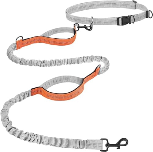 Hurluksi Guinzaglio per cani a mani libere, cintura per cani da corsa, resistente, con elastico retrattile e manico in spugna (arancione)