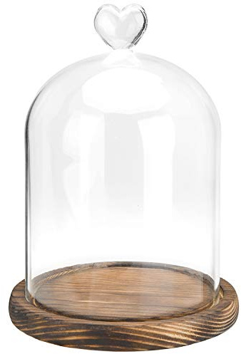 MyGift 6 Inch Small Clear Glass Cloche Bell Jar Display Case with Heart Top Handle and Dark Brown Wooden Base (5.6 x 7.6)