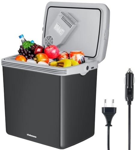 Mini Frigorifero Elettrico Portatile per Auto da 32 Litri, con Manico Ergonomico, Spina da 230V e 12V, Modalità Freddo e Caldo (Grigio)