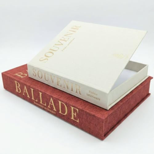 TIPICHOU Libros Decorativos Falsos de Lino - Set 2 Cajas Almacenaje Decorativas para Hogar Salon Estanteria - Libro Caja Hueco Guarda Mandos y Objetos - Decoración Interiores (Terracota y Beige)