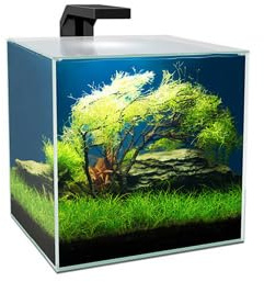 Ciano Cube Glass Aquarium Includes LED Lights & Filter (Cube 15 (14 Litres))