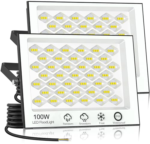 Papasbox 2 Stück 100W LED Strahler Außen | Scheinwerfer 6500K Kaltweiß Außenstrahler IP66 Wasserdicht Fluter für Garten Sportplatz