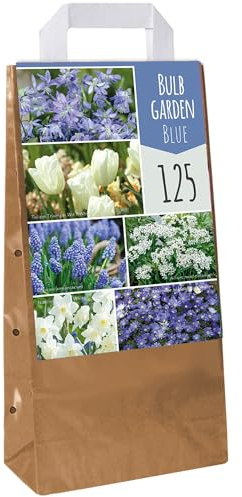 Giardino di Bulbi Blu - Tulipano Muscari Anemone Scilla Narciso Allium Bulbi Fioriti (125 Bulbi)