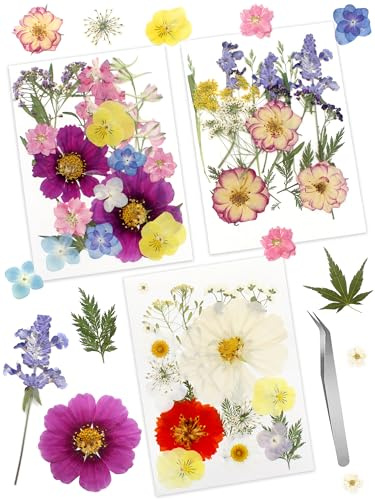 Cinvo 56 Pcs Real Dried Pressed Flowers and Leaves Natural Dried Petals Greenery with Tweezer for Candle Resin Jewelry Soap Nail Pendant Phone Case Crafts Making Floral Decors DIY Embellishments