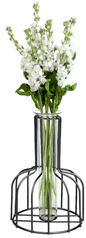 KyeeaDIY Vasen mit Metallrahmen Moderne Schwarze Blumenvase Gold Eisen Vase Vermehrungsstation Pflanzen Reagenzglas Pflanzenhalter für Blumen Hochzeit Party Garten Heimdekoration (Schwarz)