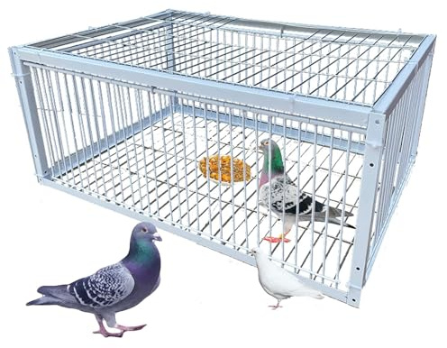 GDSHGS Trampa para Pájaros con Diseño Antiescape Jaula para Palomas y Aves de Jardín, Techo y Exterior Colección Automática, Inofensiva para los Pájaros(Blanco,40 * 30 * 26CM)