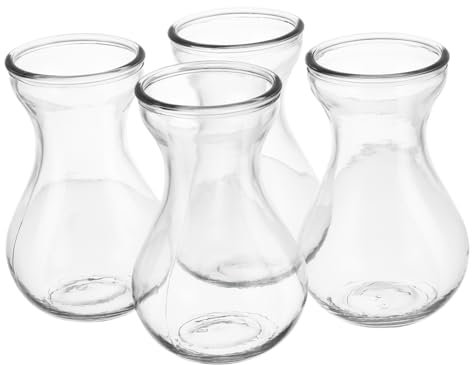 Hemobllo Vase à Fleurs en Verre Transparent Lot De 4 Petits Vases Hydroponiques pour Plantes Jacinthe Décoratif en Verre Stable Usage Maison Bureau