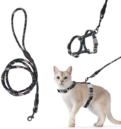 APOMOONS Katzengeschirr mit Leine Verstellbar Katzenleine Brustgurt Leine Katze Kätzchen Sicherheitsschnalle Katzengeschirr Kitten Ausbruchsicher Katzenleine mit Geschirr für Cat Harness Schwarz