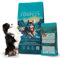 FORPETS Pienso Perros Adultos Salmón 15KG, Comida para Perro Pequeño, Mediano, Adulto, Dog Food, Comida Perro, Pienso Natural para Perros Adultos, Arroz Salmón Noruego Premium