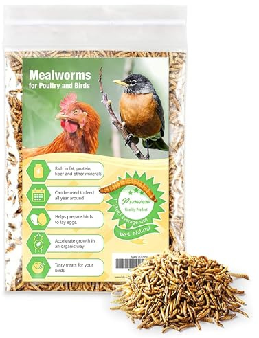 JOR High-Protein Mealworms for Poultry and Birds, Favorite Treat of Hedgehogs, Nutritionally Packed for Squirrels and Frogs, Lizards, Snakes & Fish, 200gram (7Oz)