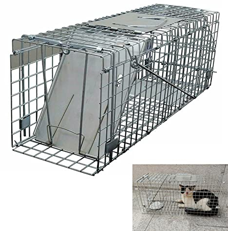 Piège vivant, piège à martres, pour chats, 61 x 19 x 21 cm, métal galvanisé, facile à nettoyer, facile à installer, sans danger pour les animaux domestiques