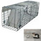 Lebendfalle, Marderfalle, Katzefalle für Katzenbabys, 61cm x 19cm x 21cm, Galvanized Metal, Leicht zu Reinigen, Einfach Einzurichten, Sicher für Haustiere