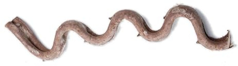 XuQiZZpp Natürliche Reptilien, Eckaste, Kletterranke, Rattanrebe für Terrarien, dekorative Pflanze, Rattanstock für Eidechsen, Schlangen, Terrarien, Dekorationen